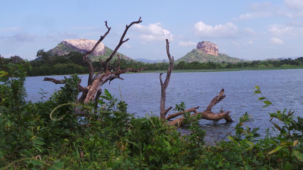 Lovely Lodge Sigiriya Exterior foto